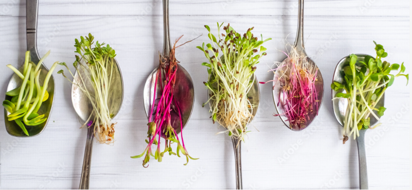 Microgreens are more than just a culinary trend; they are a sustainable solution to our modern nutritional challenges